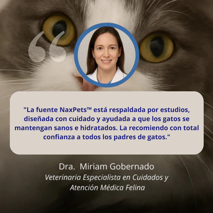 AGUAMIAU™ Fuente de agua para gatos