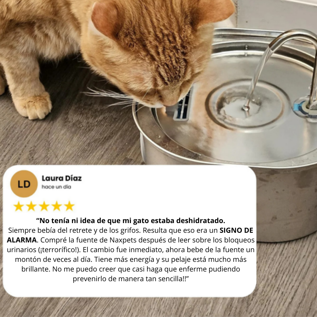 AGUAMIAU™ Fuente de agua para gatos